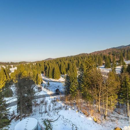 Sarah Deluxe Apartment In Silver Mountain Пояна-Брашов Экстерьер фото