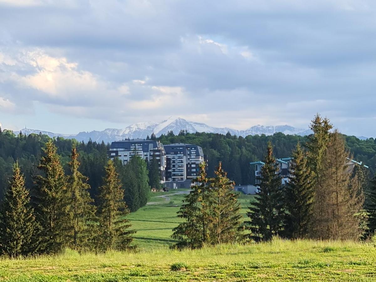 Sarah Deluxe Apartment In Silver Mountain Пояна-Брашов Экстерьер фото