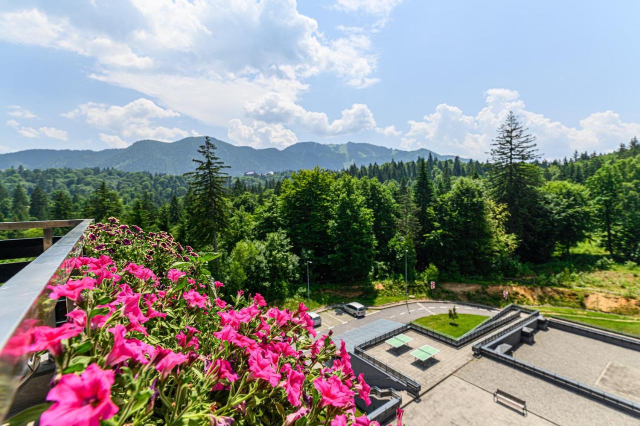 Sarah Deluxe Apartment In Silver Mountain Пояна-Брашов Экстерьер фото