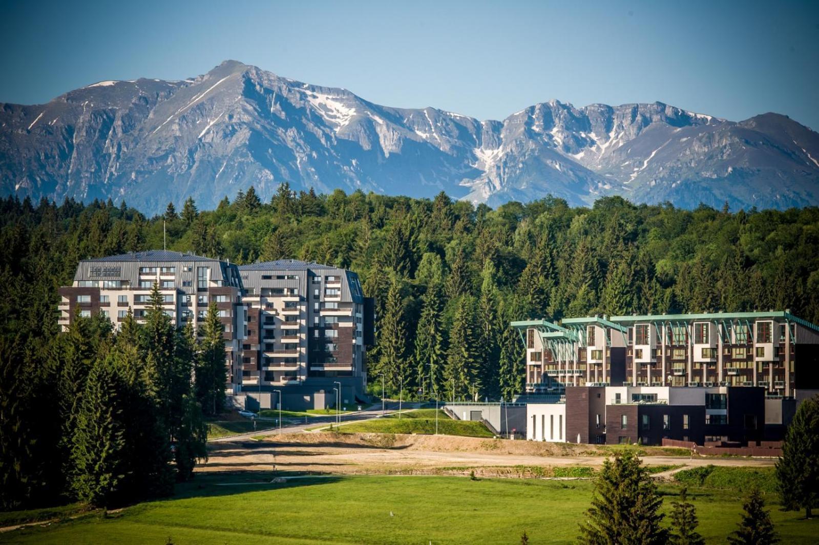 Sarah Deluxe Apartment In Silver Mountain Пояна-Брашов Экстерьер фото