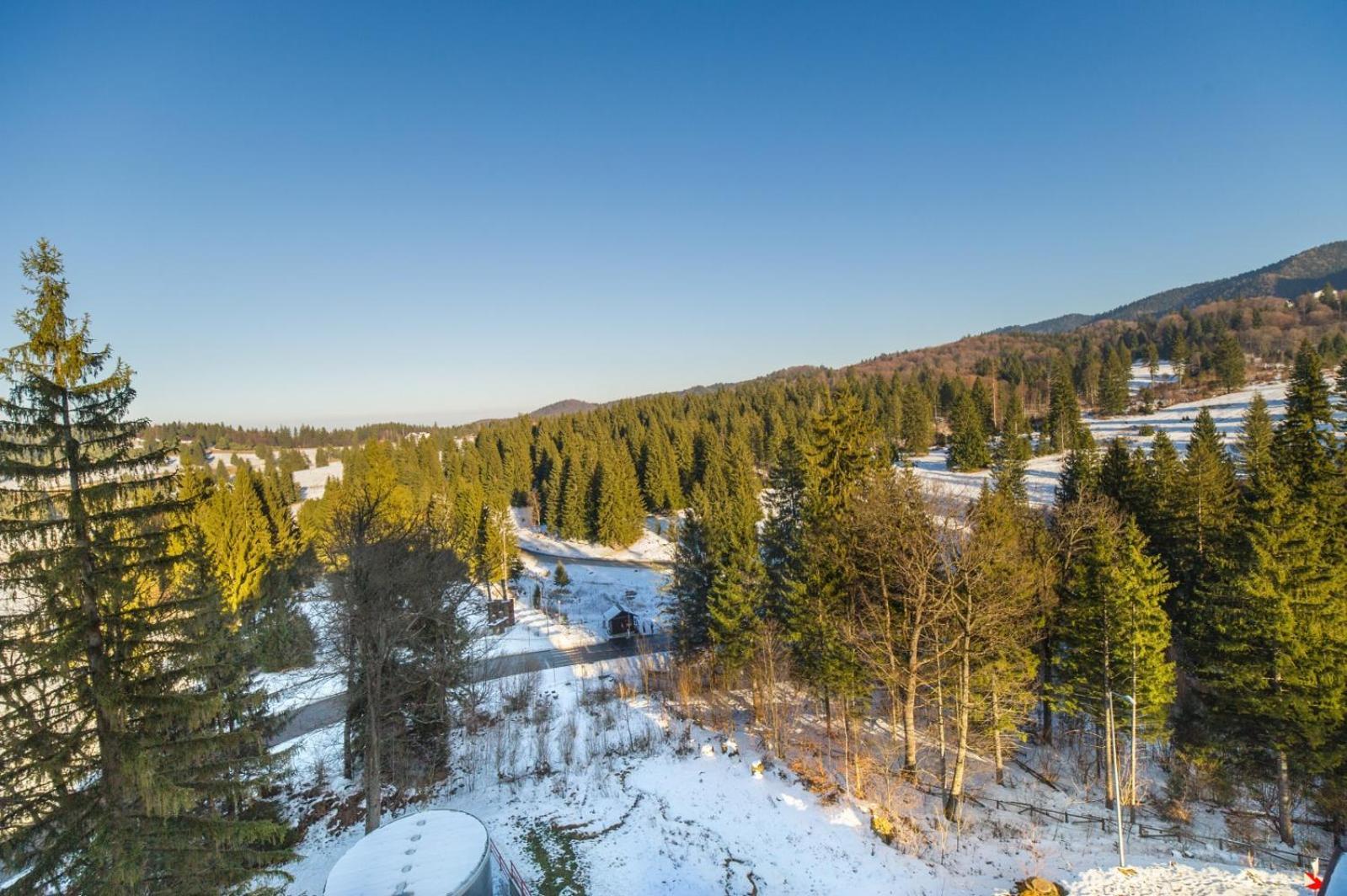 Sarah Deluxe Apartment In Silver Mountain Пояна-Брашов Экстерьер фото
