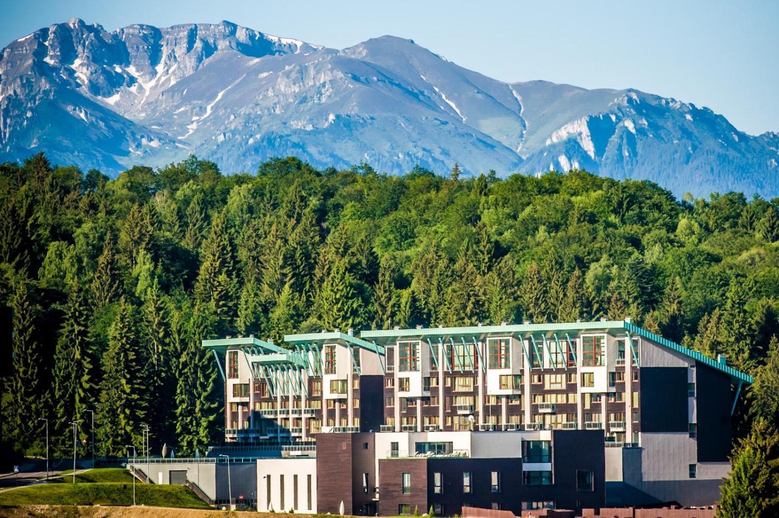 Sarah Deluxe Apartment In Silver Mountain Пояна-Брашов Экстерьер фото