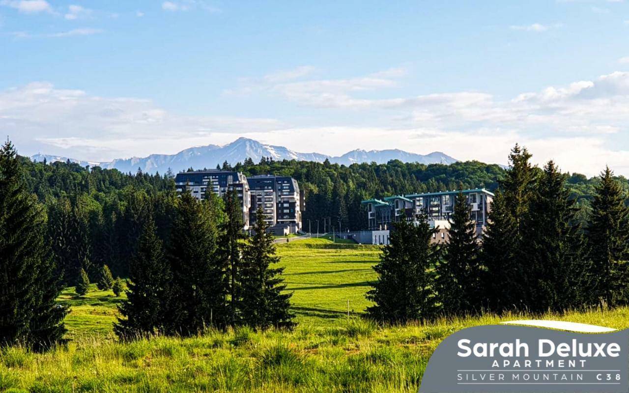 Sarah Deluxe Apartment In Silver Mountain Пояна-Брашов Экстерьер фото
